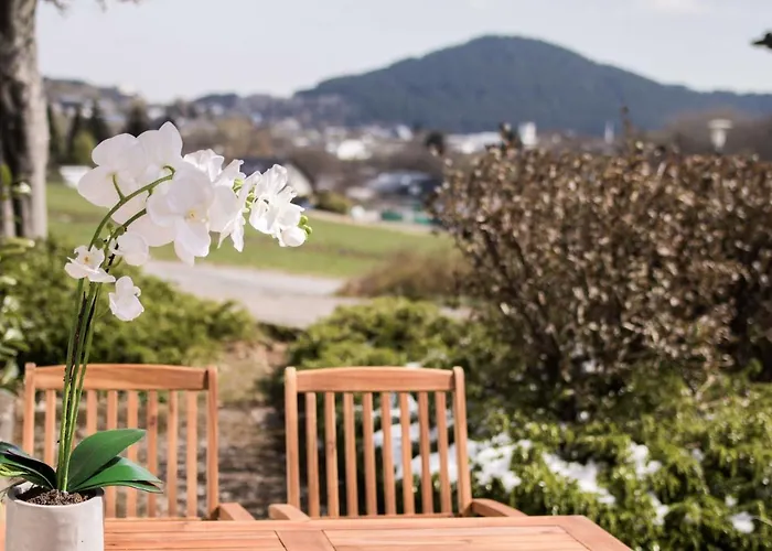 Xenos Daire Willingen (Upland)